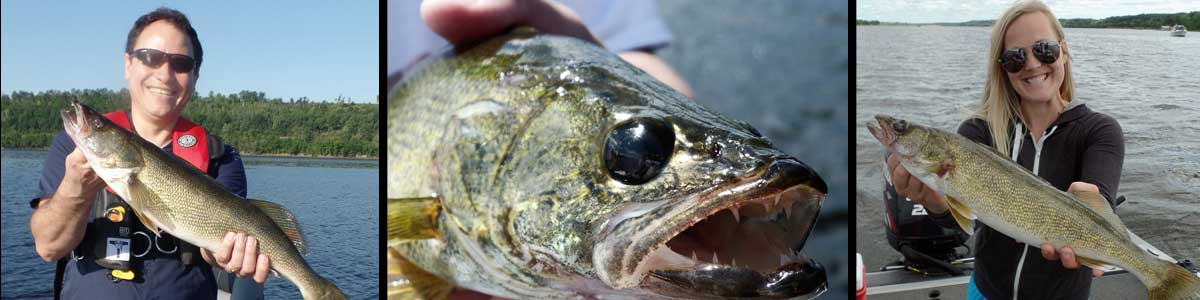 Walleye and Smallmouth bass fishing guide rates - St. Croix Wisconsin